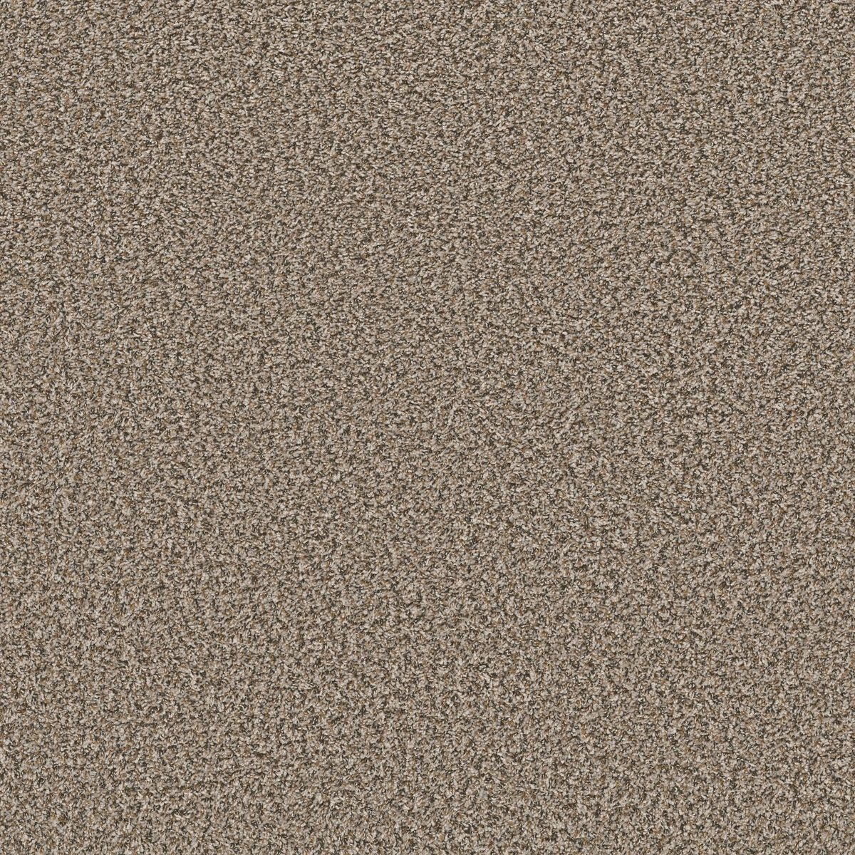 Shaw Floors Break Away (B) Toast flooring
