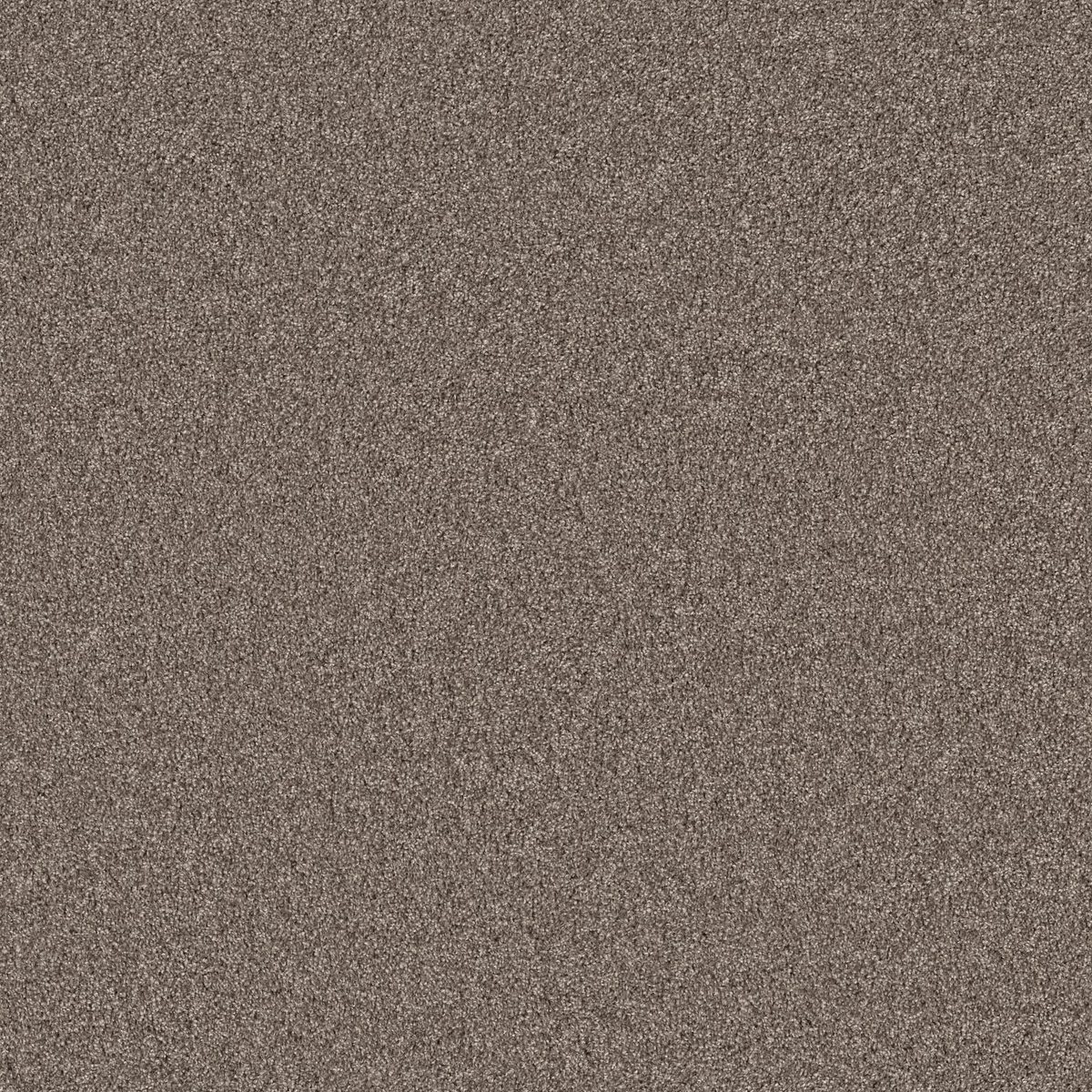 Shaw Floors Agility Hammerhead flooring