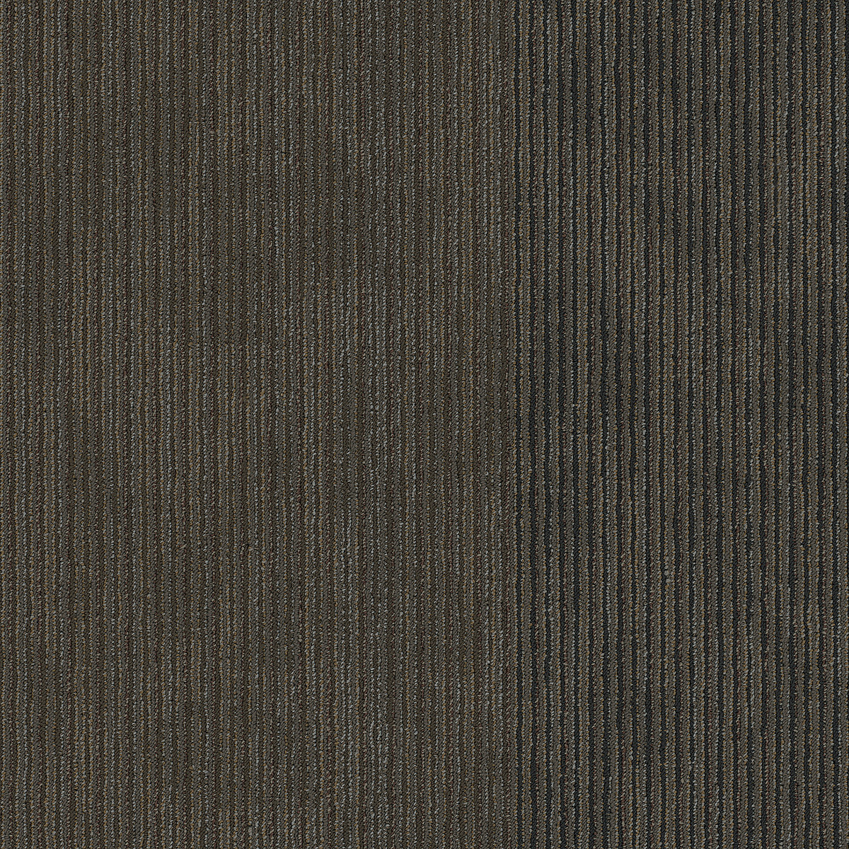 Philadelphia Commercial Disclose Coverage flooring