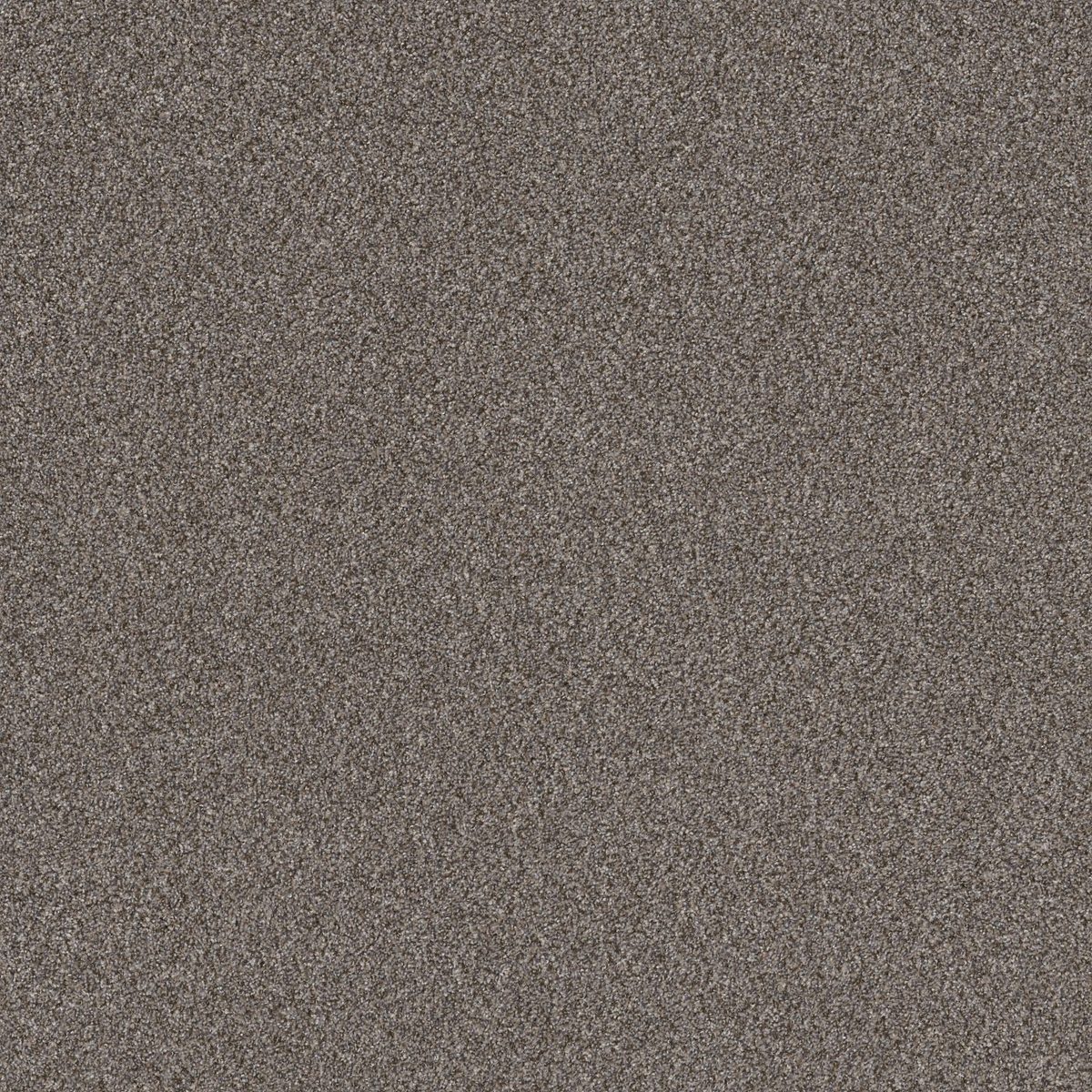 Shaw Floors Right Choice Baltic Stone flooring