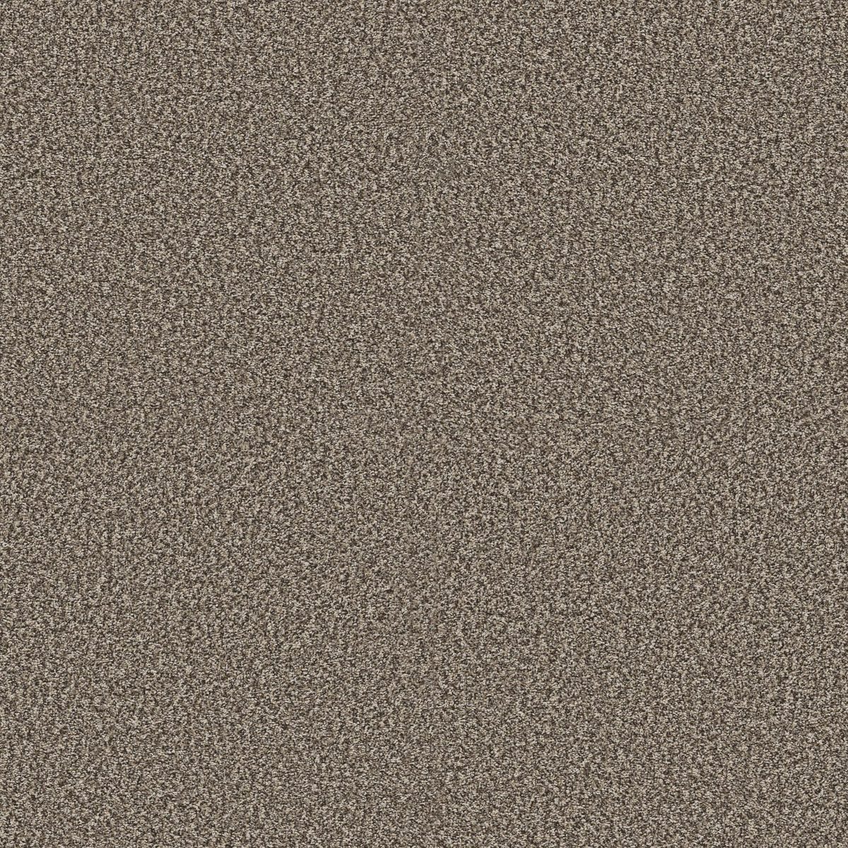 Shaw Floors Yes You Can I 12' Soft Sense flooring