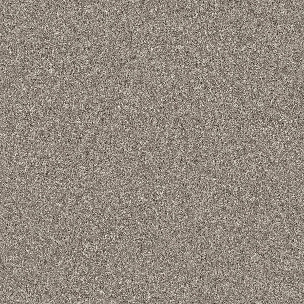 Shaw Floors Agility Barely There flooring