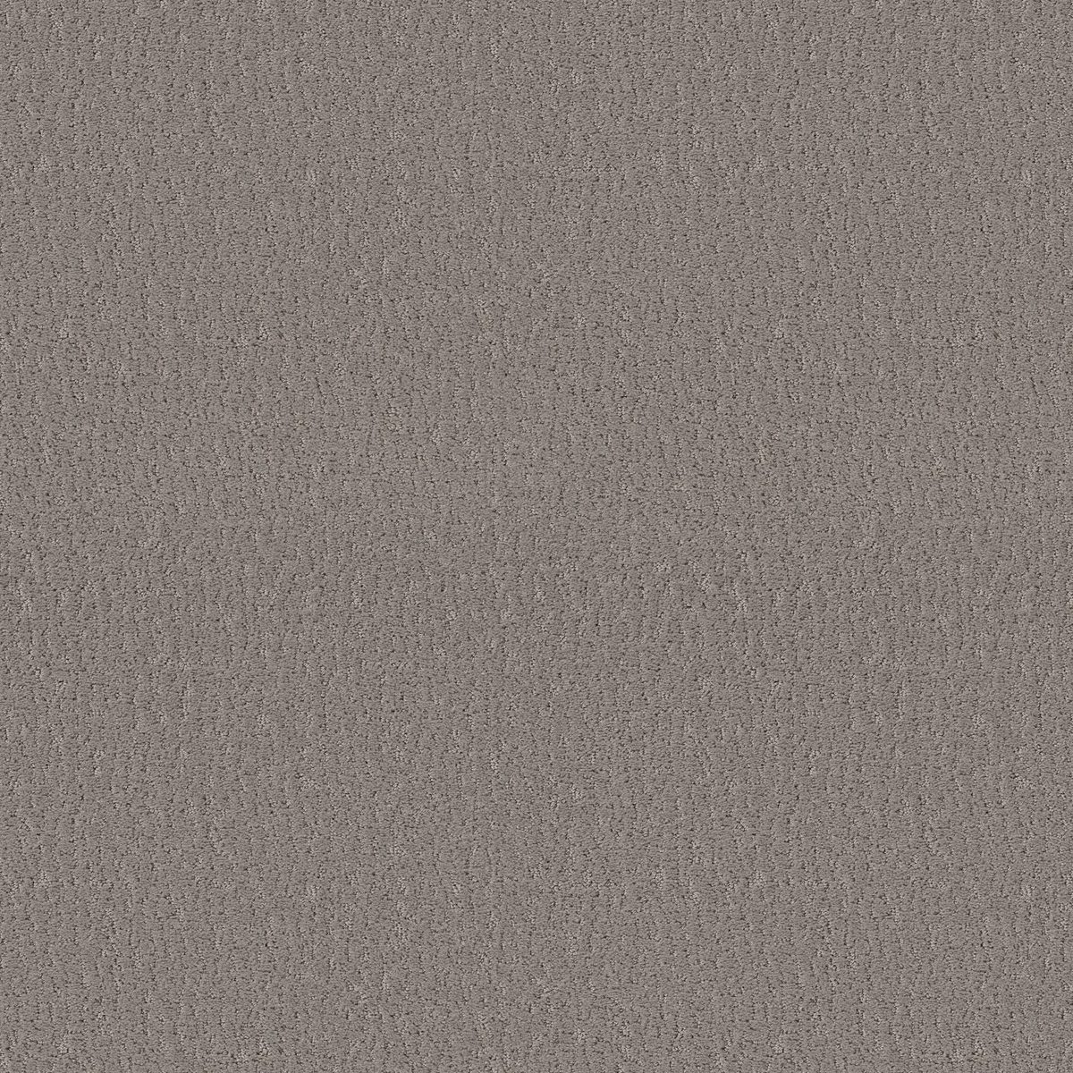 Shaw Floors Studio Set Fallen Acorn flooring