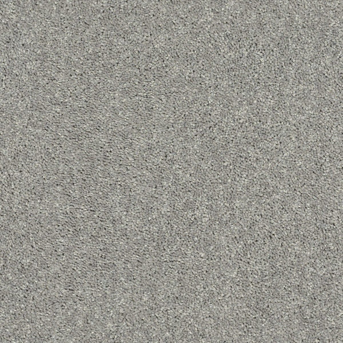 Shaw Floors Cabana Bay (S) Dolphin flooring