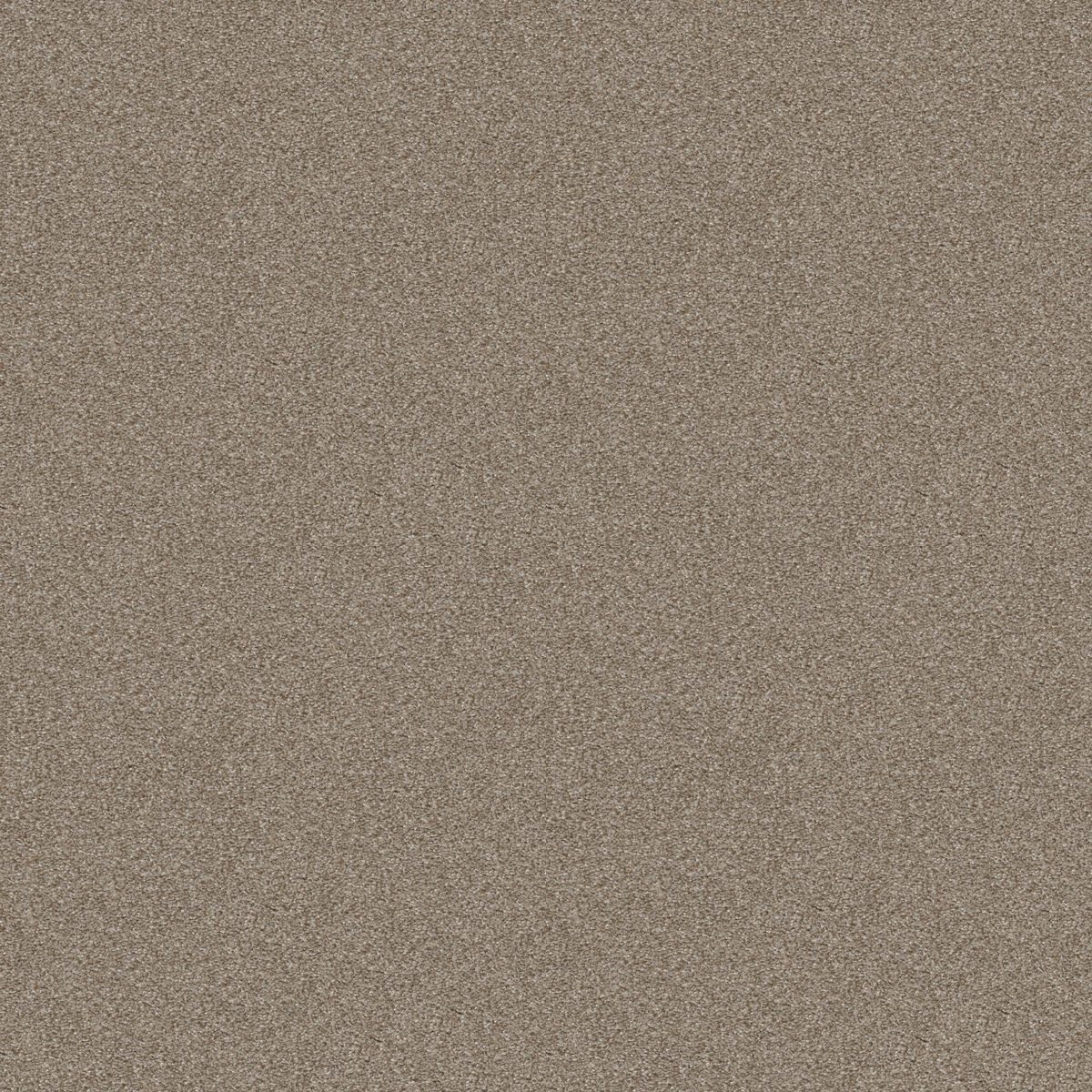 Shaw Floors Cabana Bay (T) Pebble Creek flooring