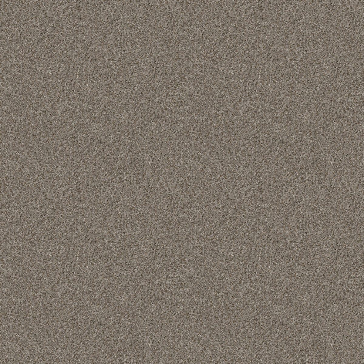Shaw Floors Cabana Life (B) Granite flooring