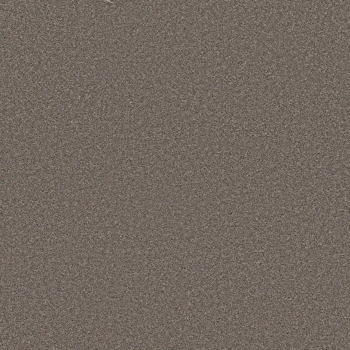 Shaw Floors Wonderland III 12' Smoked Tan flooring