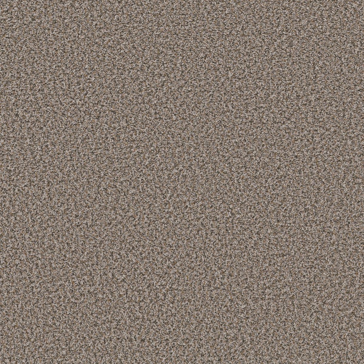 Shaw Floors Break Away (B) Sweet Taupe flooring