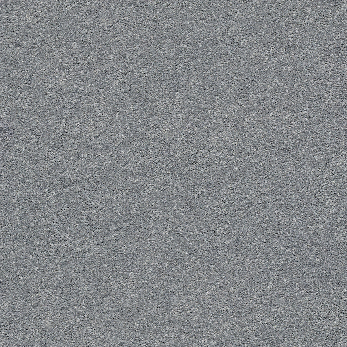 Shaw Floors Your Comfort I Dolphin Sighting flooring