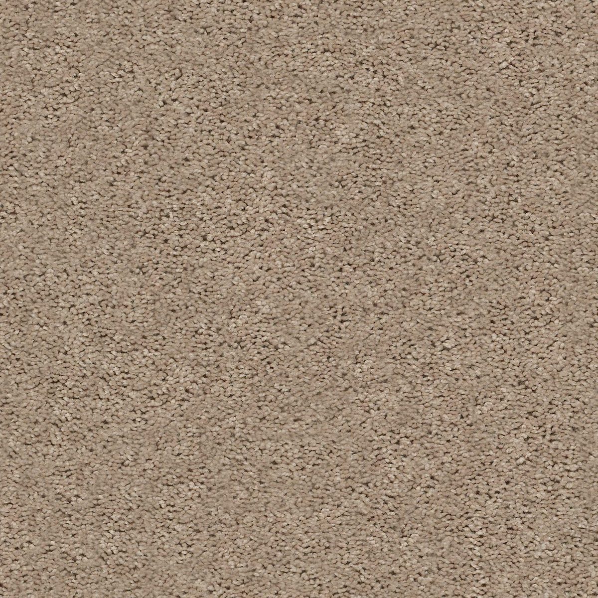 Shaw Floors Break Away (S) Wheat Field flooring