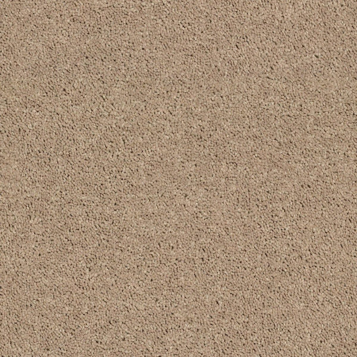 Shaw Floors All Star Weekend II Tassel flooring