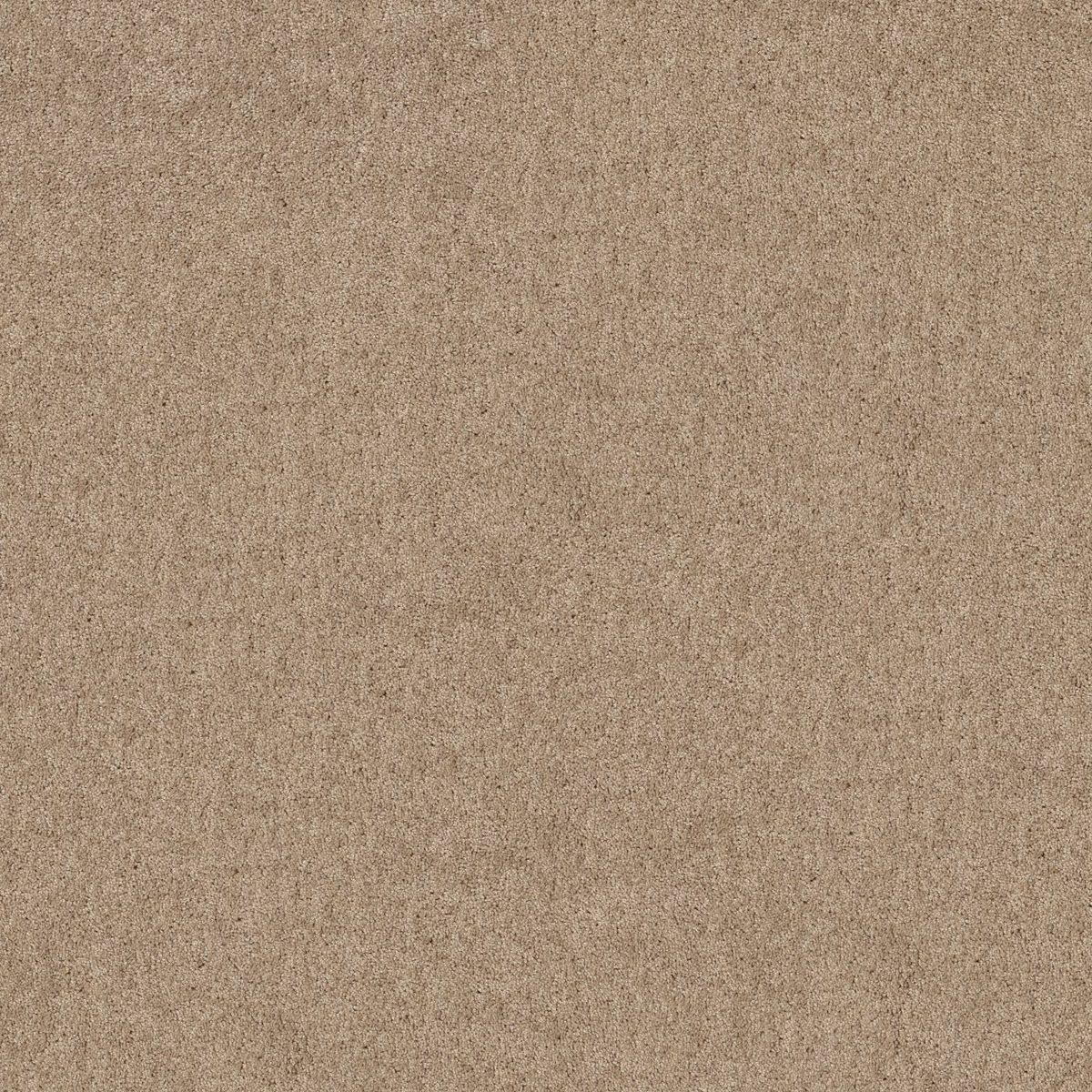 Shaw Floors Hot Topic Tassel flooring
