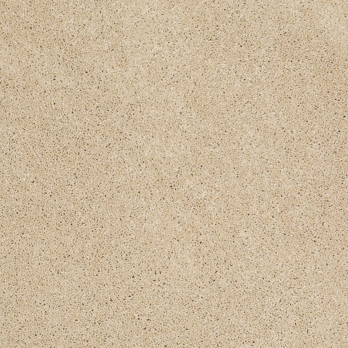 Shaw Floors Las Cruces Warm Glow flooring