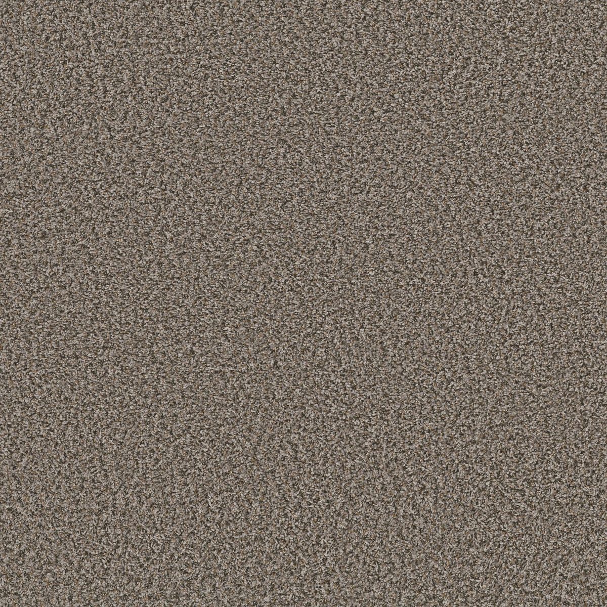 Shaw Floors Break Away (B) Boulder flooring