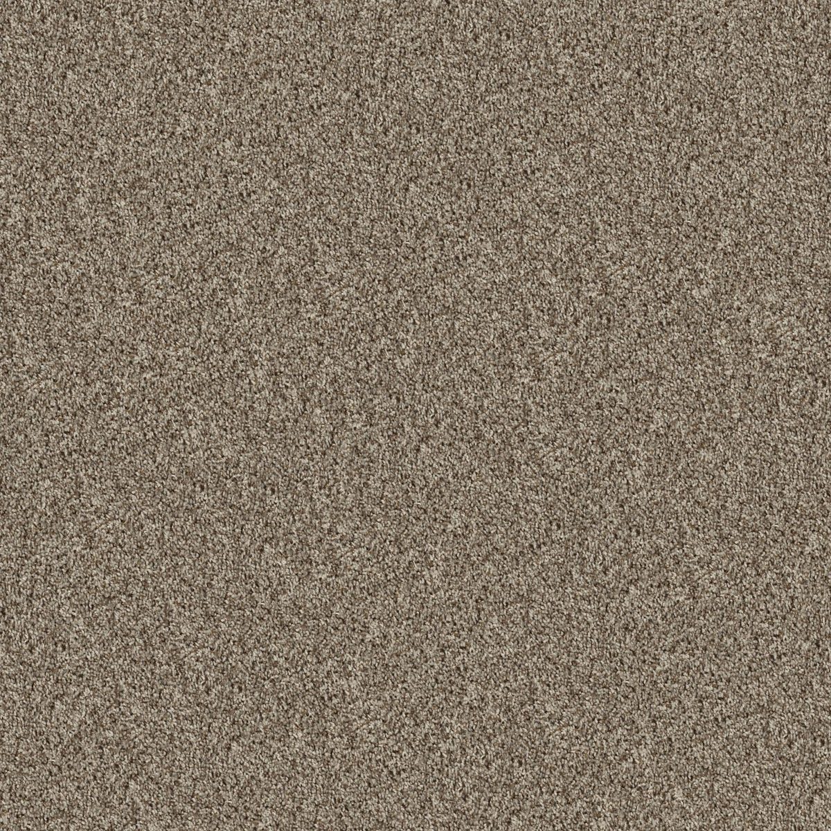 Shaw Floors Break Away (T) Almond flooring