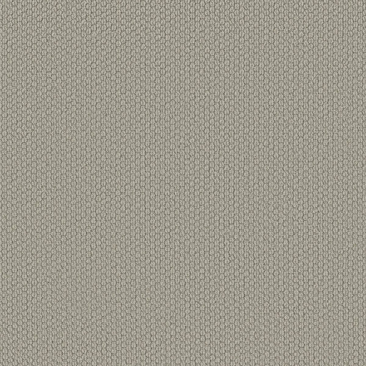Shaw Floors Cathedral Hill II Stylish Gray flooring