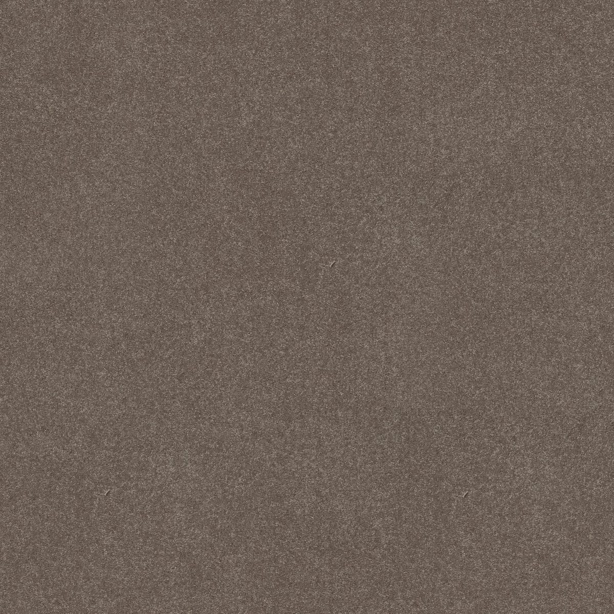 Shaw Floors Easy Spirit II Pewter flooring