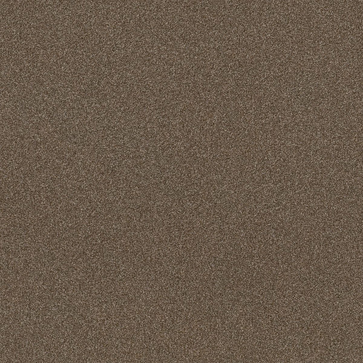 Shaw Floors TruSplendor Chestnut flooring
