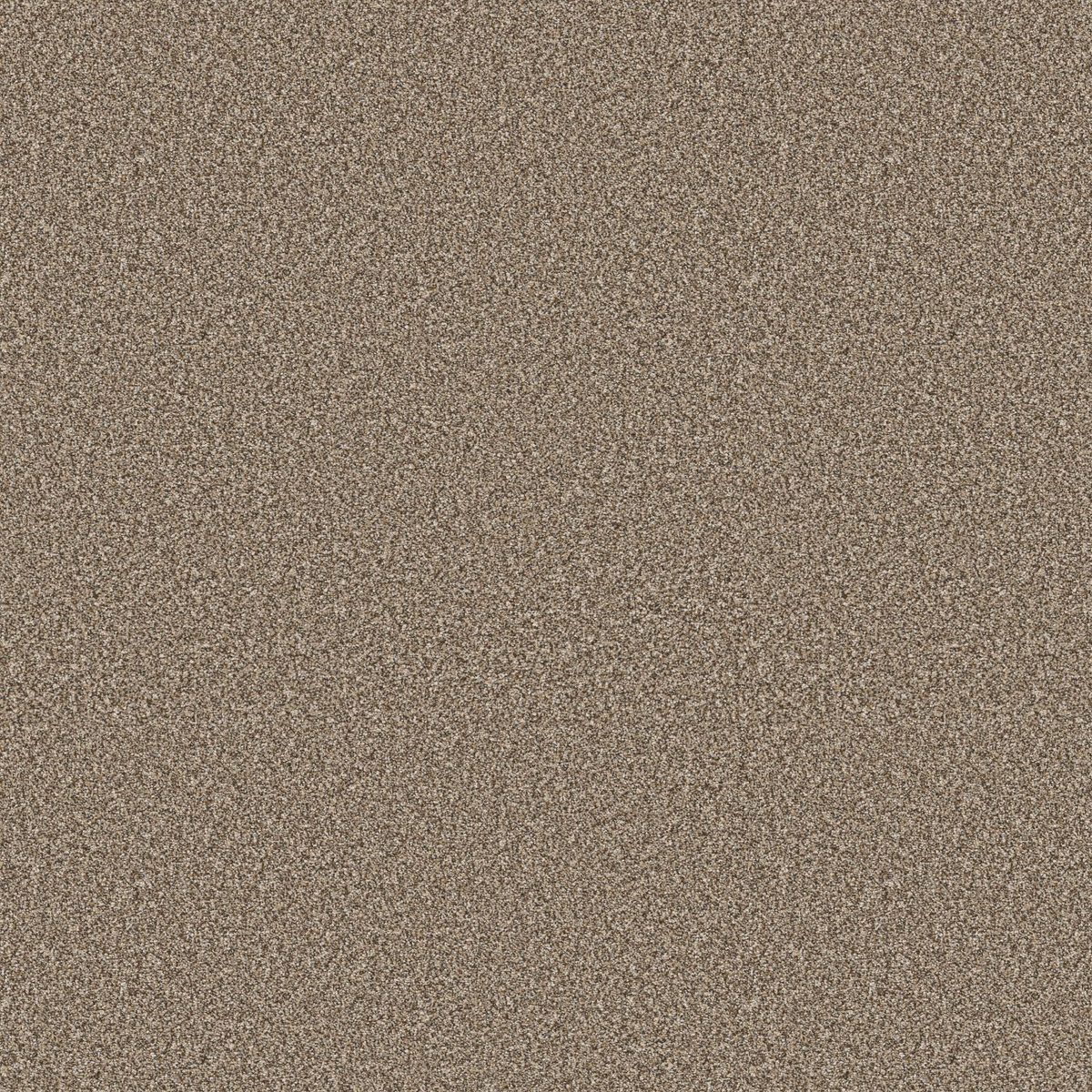 Shaw Floors Elevated II Rodeo flooring