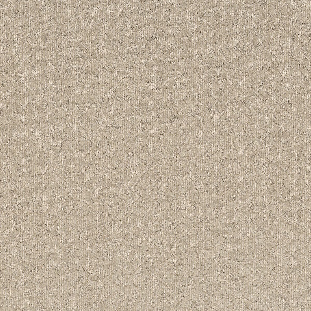 Shaw Floors Clever Blend Warm Light flooring
