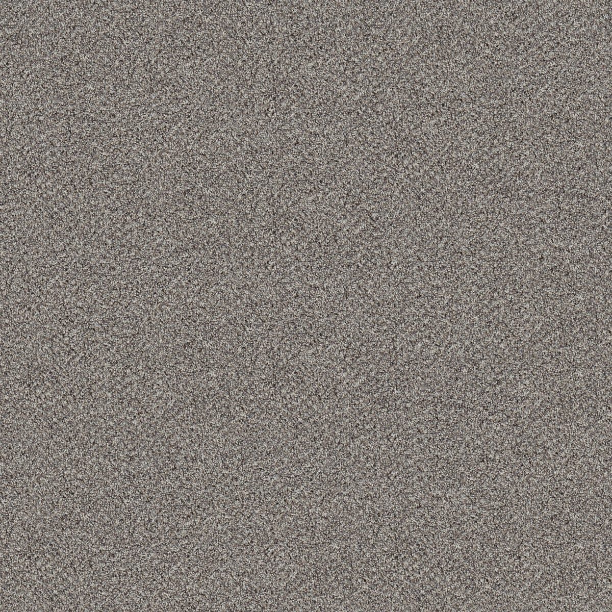 Shaw Floors Break Free Stonegate flooring