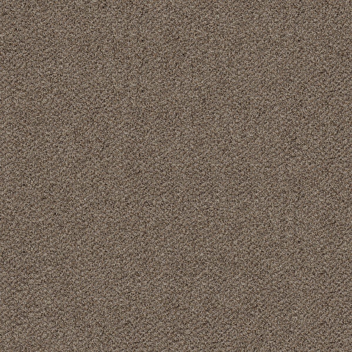 Shaw Floors Break Free Incognito flooring