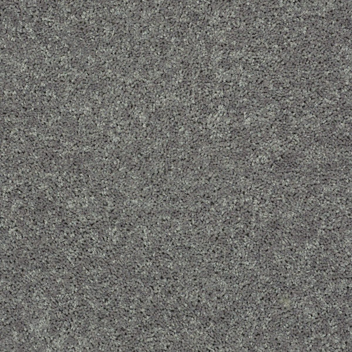 Shaw Floors Cabana Life (S) Steel flooring