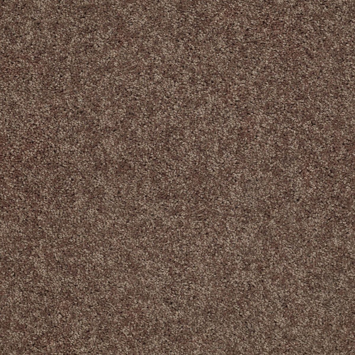 Shaw Floors Cabana Bay (S) Cattail flooring