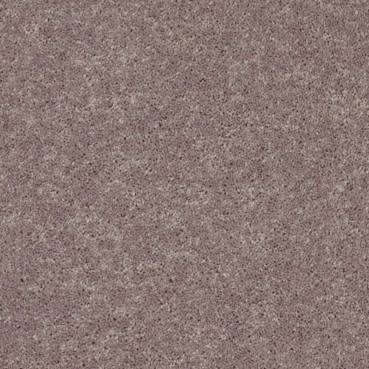 Shaw Floors All Star Weekend II Hearth Stone flooring