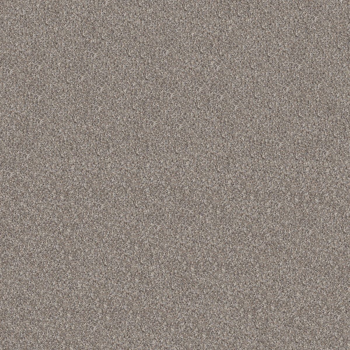 Shaw Floors Elevated I Perfection flooring