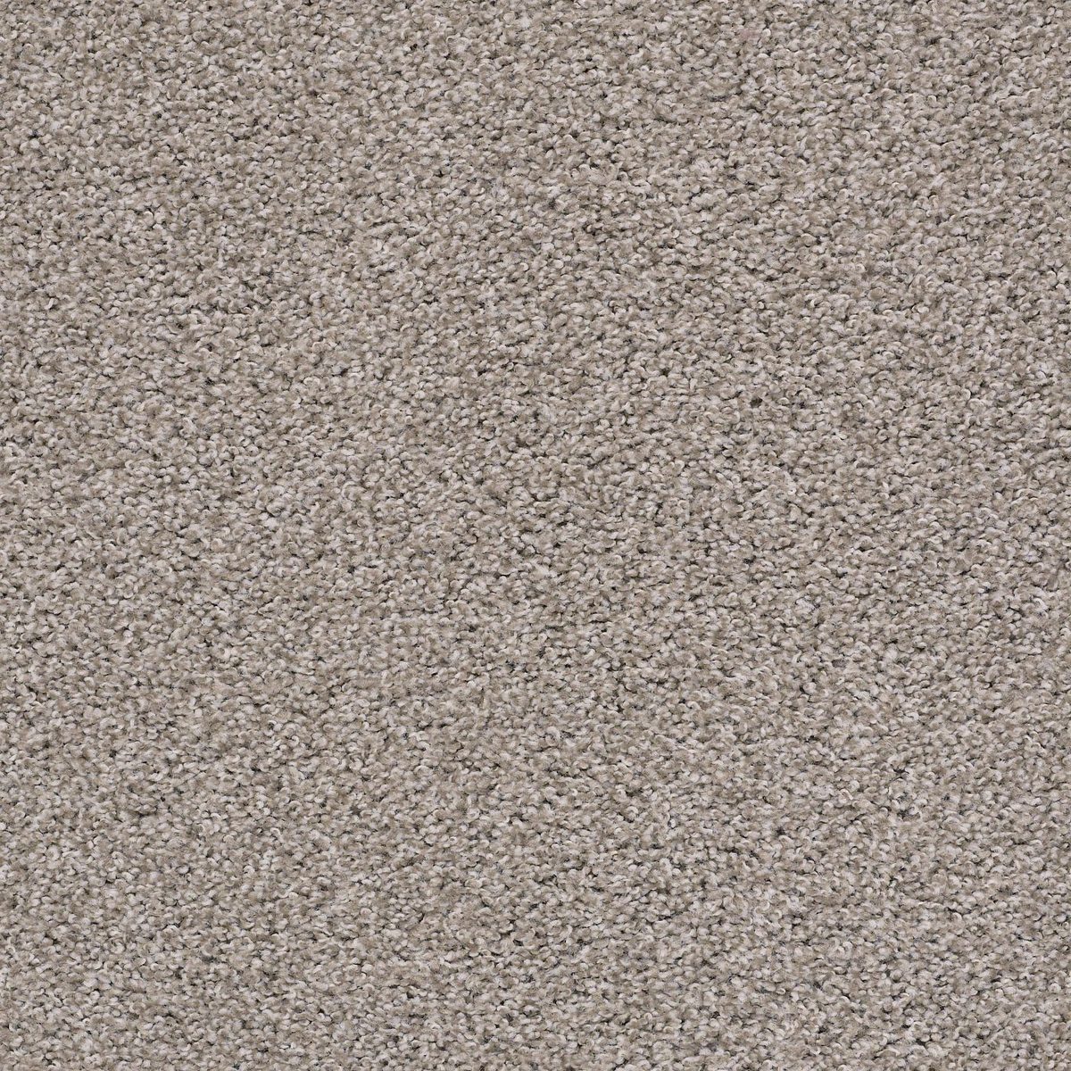 Shaw Floors Poised Winter Birch flooring