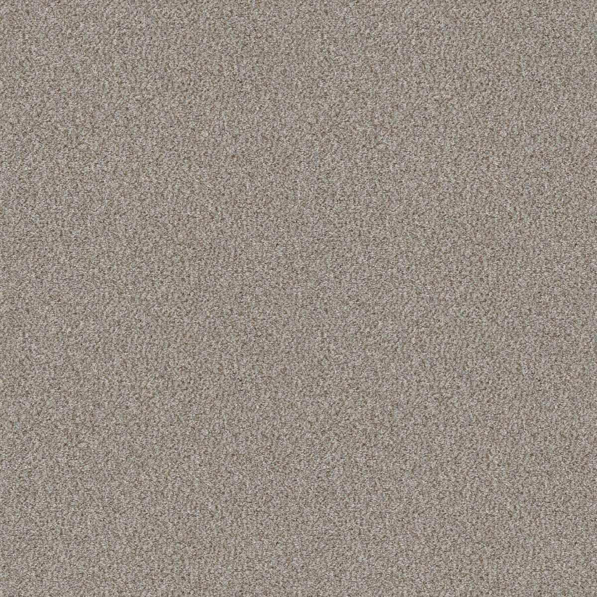 Shaw Floors Cabana Life (B) Seashell flooring
