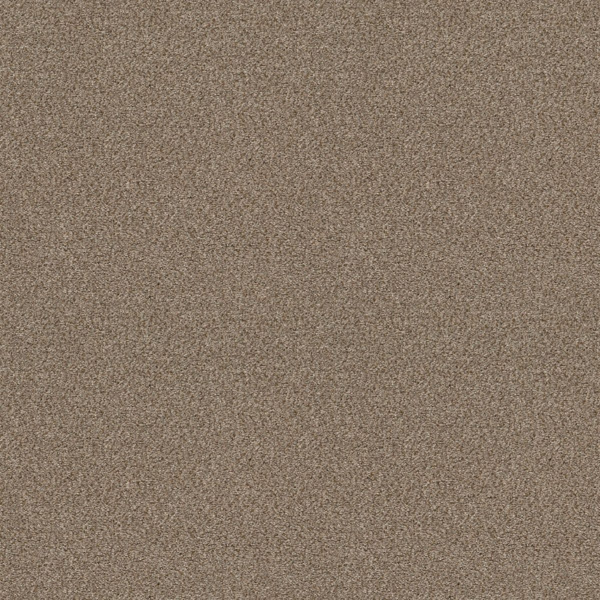 Shaw Floors Cabana Life (B) Summer Wind flooring