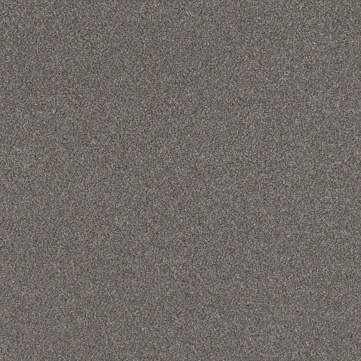 Shaw Floors Right Choice Dovetail flooring