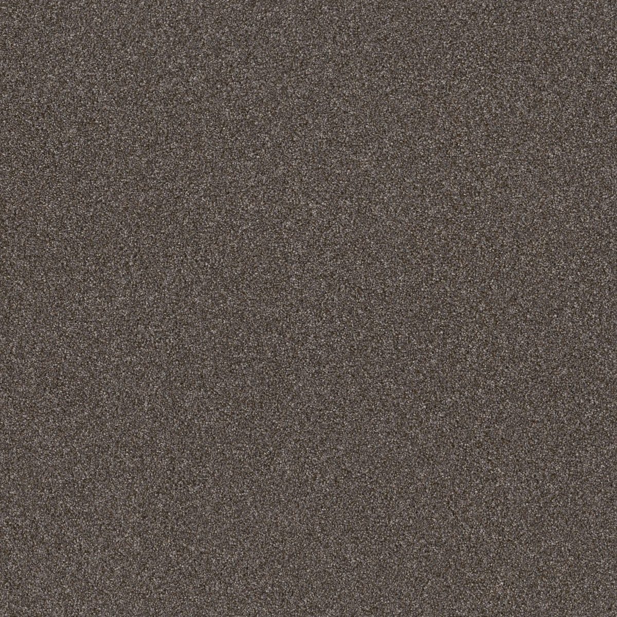 Shaw Floors Right Choice Folkstone flooring