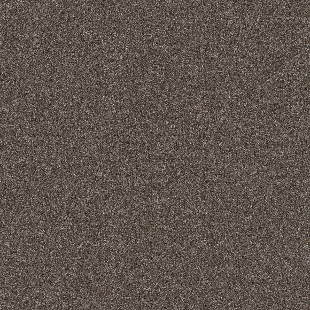 Shaw Floors Yes You Can I 12' Cafe Noir flooring