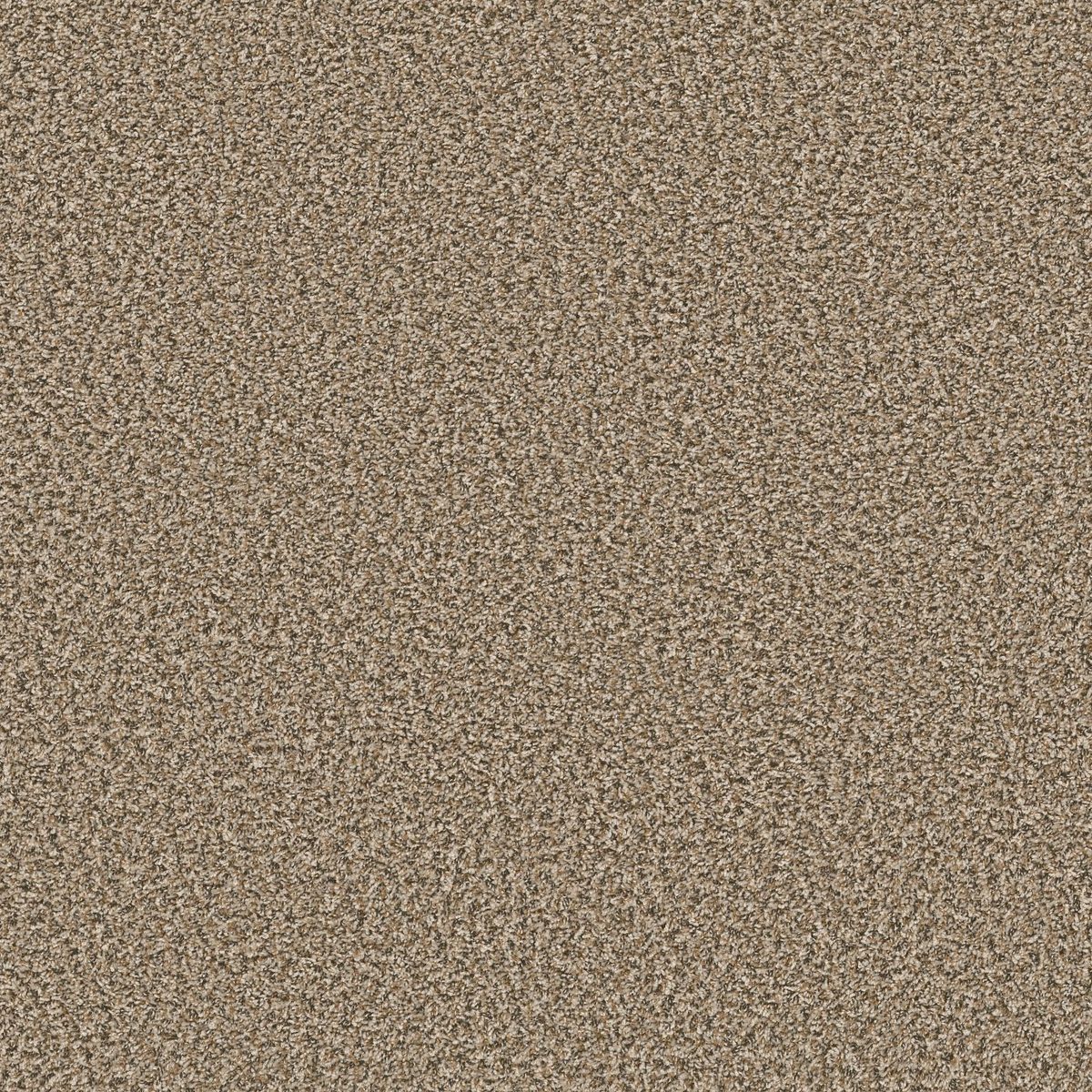 Shaw Floors Break Away (B) Burlap flooring