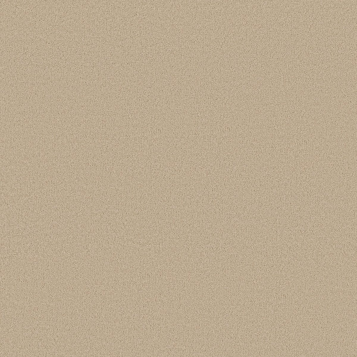 Shaw Floors Las Cruces Cream Puff flooring