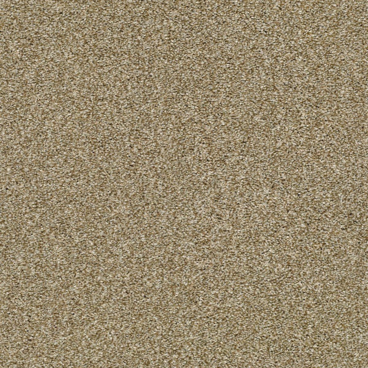 Shaw Floors Cabana Life (T) Dried Clay flooring