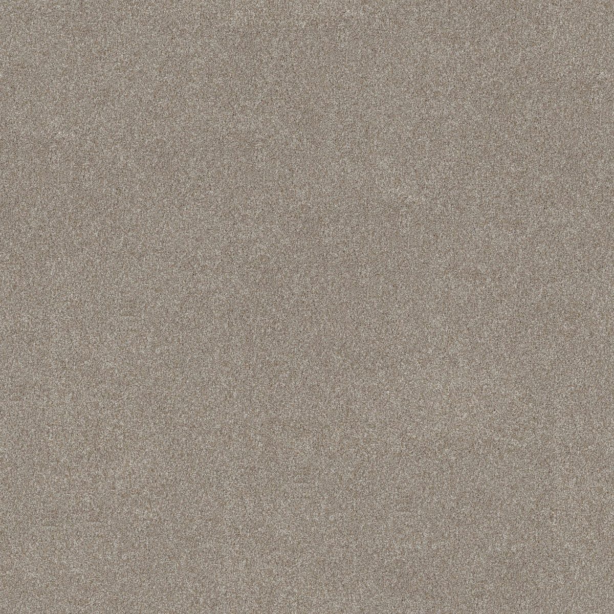 Shaw Floors Good Move III Winter Dunes flooring