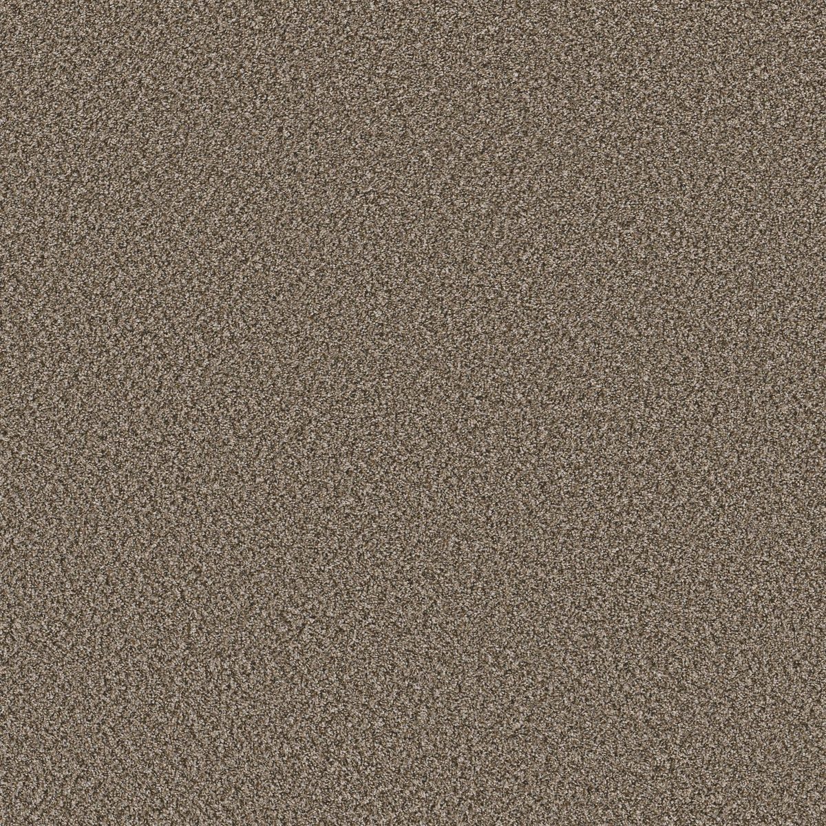 Shaw Floors Soft Radiance Mocha Latte' flooring
