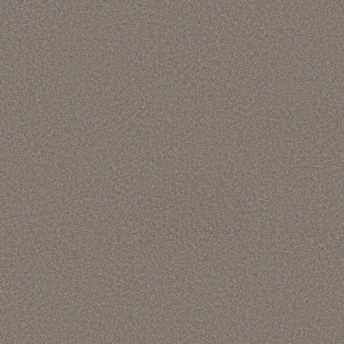 Shaw Floors Wonderland II Creek Bed flooring