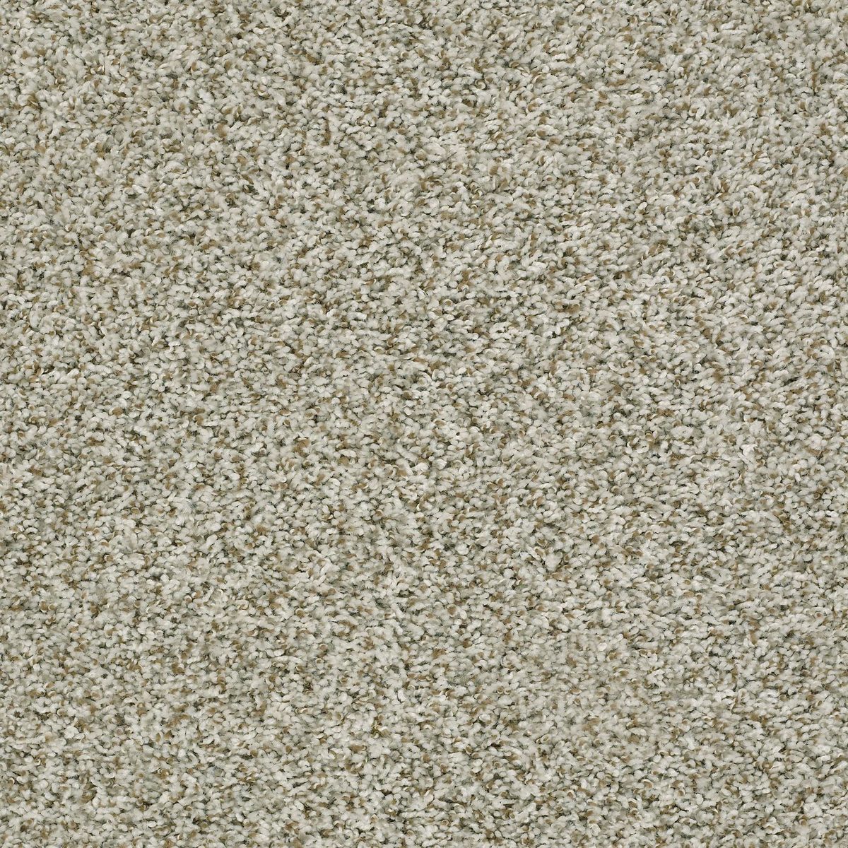Shaw Floors Break Away (T) Buff flooring
