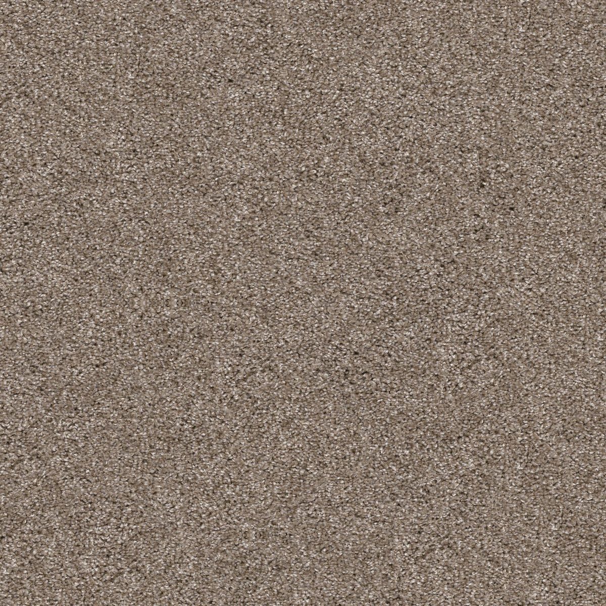 Shaw Floors Yes You Can II 12' Cameo flooring
