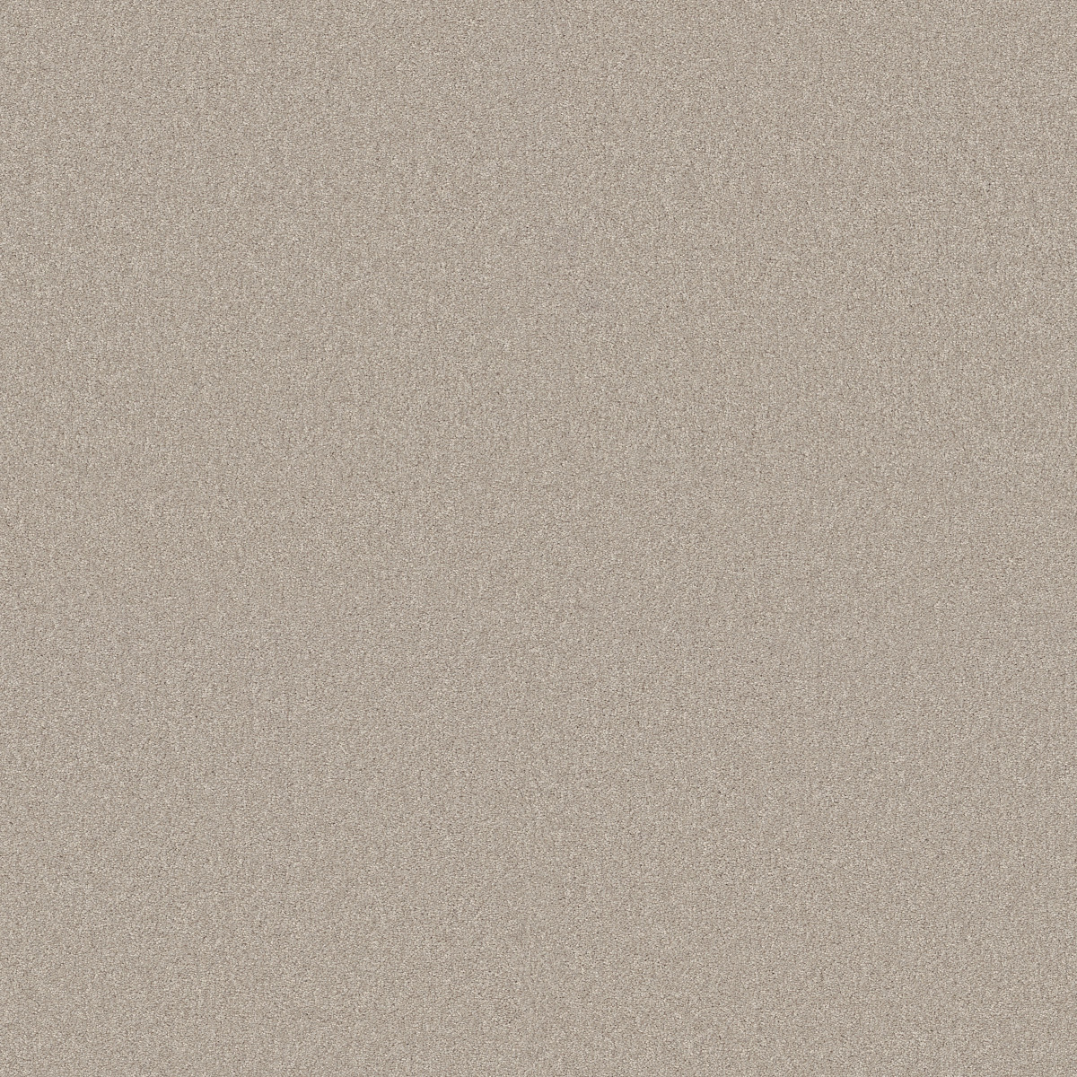 Shaw Floors Your Comfort I Sand Castle flooring