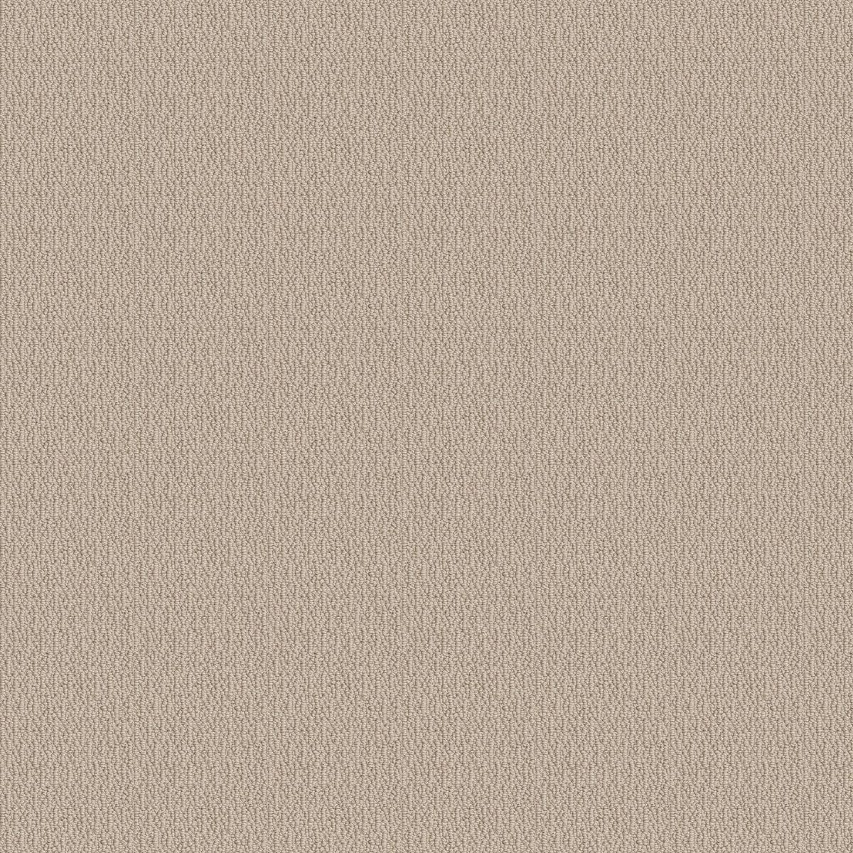 Shaw Floors Loop de Loop Natural Wood flooring