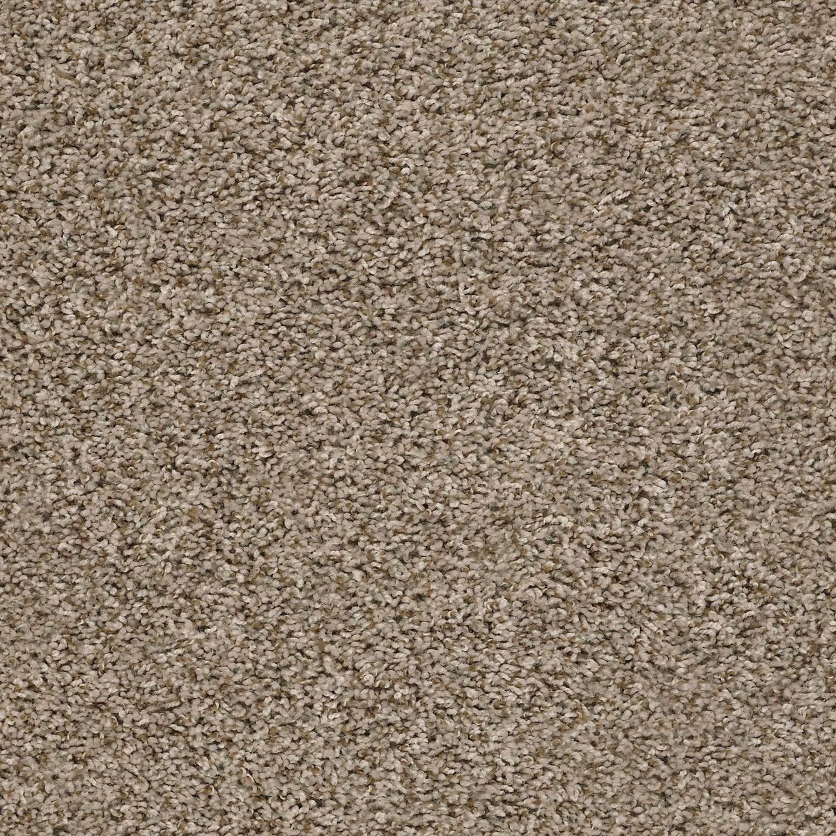 Shaw Floors Break Away (T) Blond Wood flooring