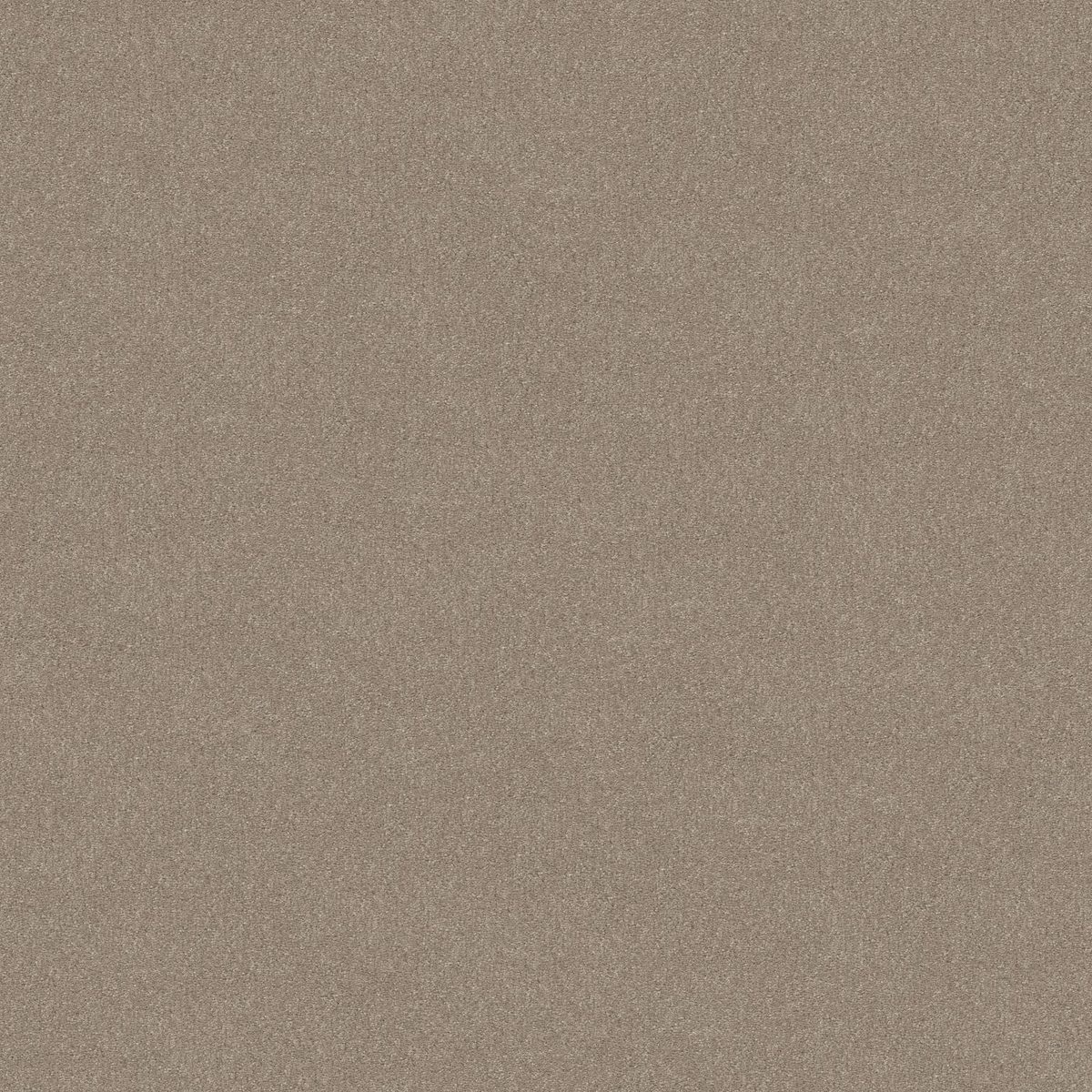 Shaw Floors Easy Spirit II Natural Contour flooring