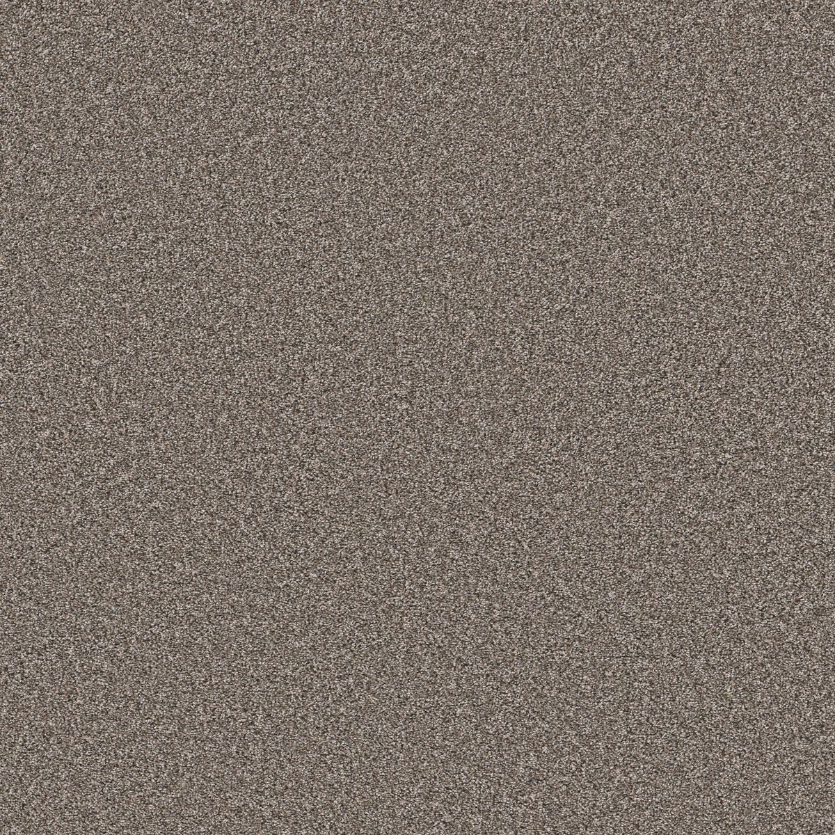 Shaw Floors Soft Radiance Nature Trail flooring