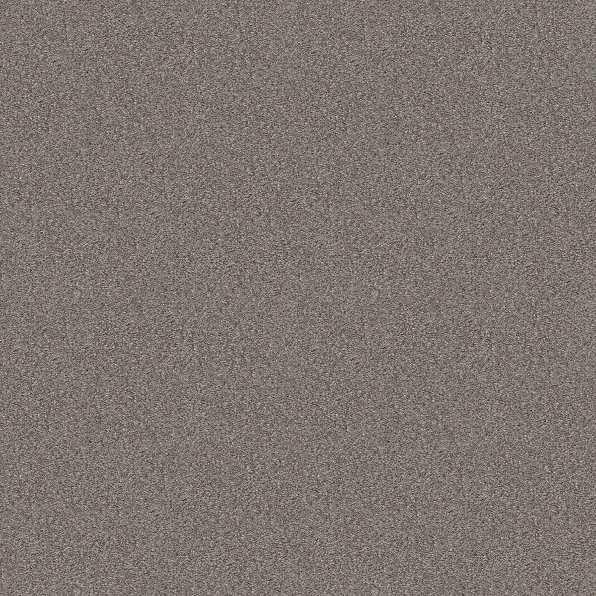 Shaw Floors Cabana Bay (T) Stainless flooring